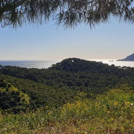 Апартаменты Appartement Moderne De 2 Chambres *